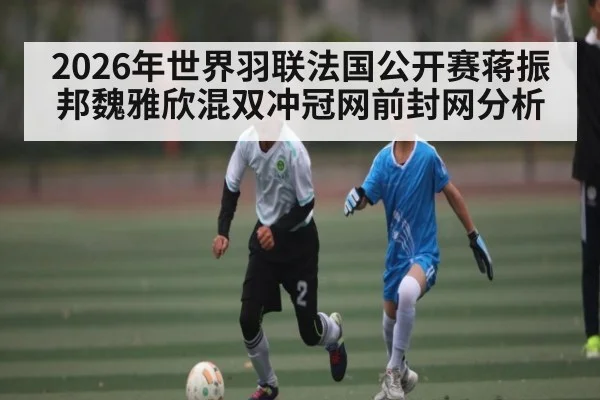 2026年世界羽联法国公开赛蒋振邦魏雅欣混双冲冠网前封网分析